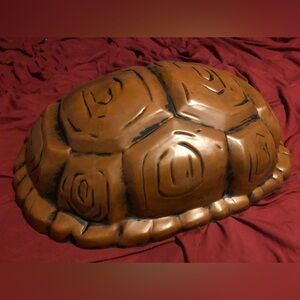 Ninja Turtle Shell